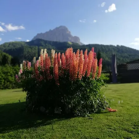 Cedepuent De Sot Apartment Selva di Val Gardena Exterior photo