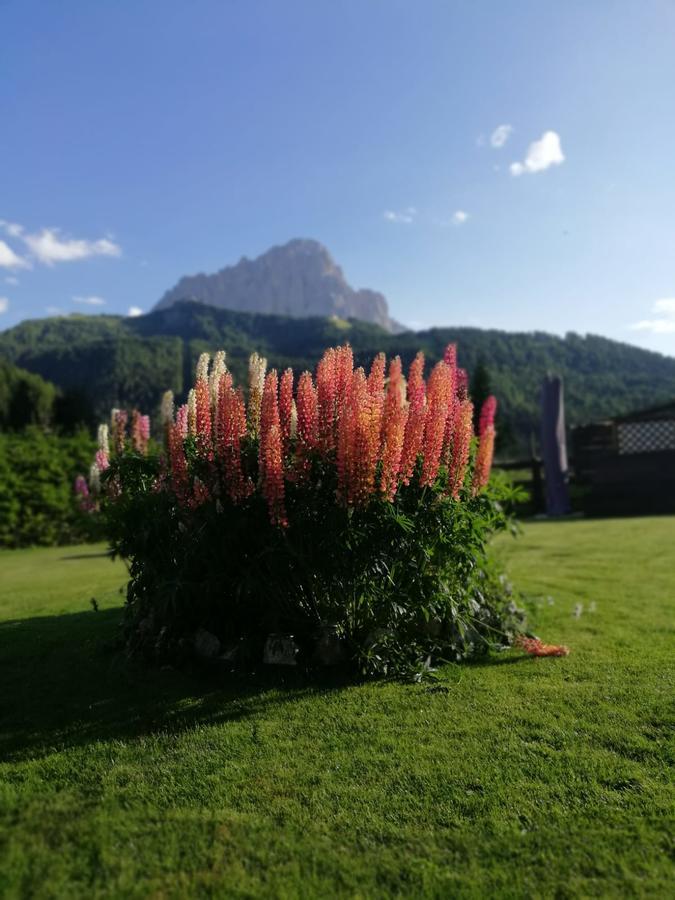 Cedepuent De Sot Apartment Selva di Val Gardena